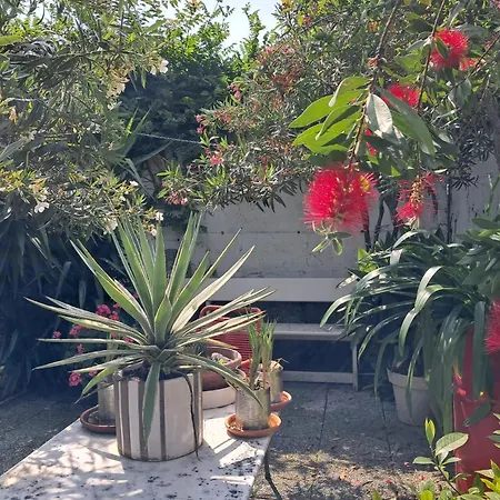 Room With A Garden-2