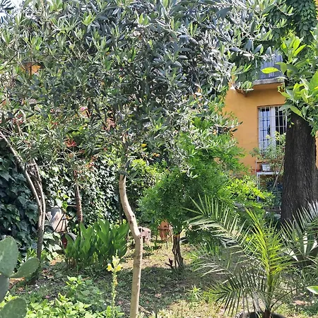 Room With A Garden-3